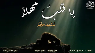 يا قلب مهلا   بدون موسيقى  دندنها