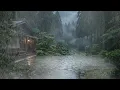 Rain and Soft Wind – Relaxing Night Ambience for Deep Rest and Mental Balance