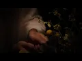 Devendra Banhart & Noah Georgeson - A Cat & Aran in Repose