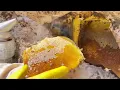 BAL AVCISI® Kaya Balı