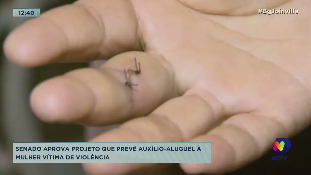 Senado aprova projeto que prevê auxílio aluguel à mulher vítima de violência