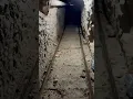 CJNG tunnel dismantled between Tijuana and San Diego drugs valued at 45 million seized
