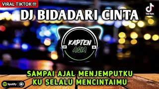 dj bidadari cinta sampai ajal menjemputku ku selalu mencintaimu remix tiktok viral