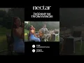 Download Lagu Hip Hip Hura - Sanah COVER | NECTAR Music