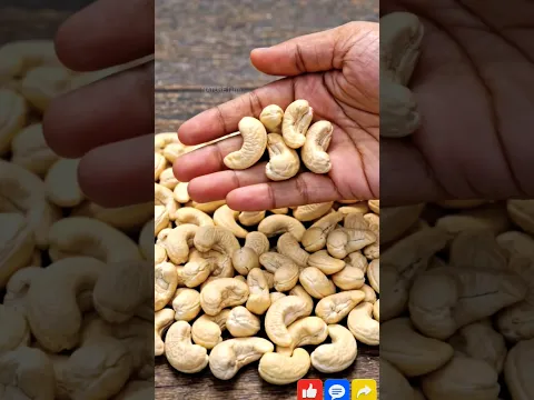 ৯০% মানুষ জানেন না! এভাবেই কাজু বাদামের চারা তৈরি করুন 🌱 | Cashew Plant from Seed