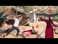 husband s anger and attack onsecond lady s tent due to bad behavior that caused first lady s absence