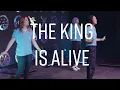 The King Is Alive | CS Kids, Studio 14 | Worship Songs for Kids Church