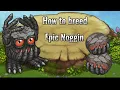 How To Breed Epic Noggin On Plant Island