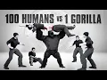 Download Lagu 100 Men vs 1 Gorilla. The TRUTH.