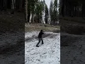 My Ar-15 M4 Carbine Build TRAINING in light SNOW First day out with it Slow Motion footage