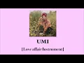 [Inst] Umi - Love Affair