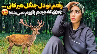 رفتم دل جنگل هیرکانی چیزی که دیدم باورم نمی شه 