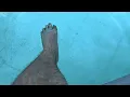 My best friend told me to show feet next to a swimming pool
