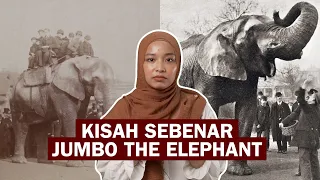 Download Kisah Sebenar Jumbo The Elephant MP3