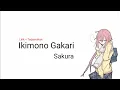 Lagu Lagu Jepang Romantis | | Sakura - Ikimono Gakari | | Lirik + Terjemahan |