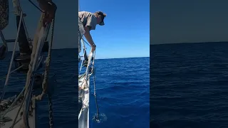 Dangerous Anchoring Spot in French Polynesia #sailing #dangerous #themoreyouknow