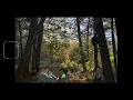 weird inside - better days