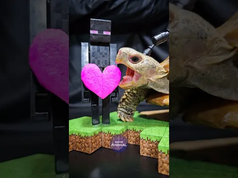 Minecraft ASMR Mukbang Eating ENDERMAN HEART 🌈