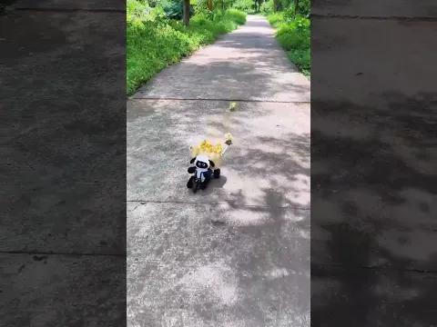 duck express adventure ❤️😍 #shorts #shortsfeed #shortvideo