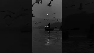 أنت نور الله فجرا جئت بعد العسر يسرا حالات واتس اب انستا اناشيد اسلامية ماهر زين 