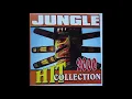 Download Lagu Various - Jungle - Hit Collection 2000 (Full Album) (2000) (HQ)