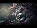 Iftekharul Anam - Restful Sanctuary