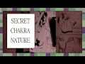 Naruto s Secret Chakra Nature Hidden from the Start