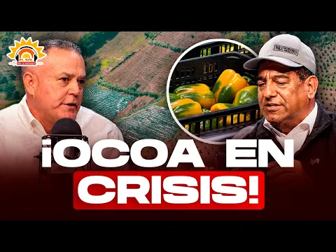 Crisis agrícola en San José de Ocoa: Productores denuncian falta de apoyo