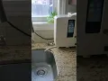 Download Lagu Short Stylish Faucet for your Kangen Water Machine 💦💜💦