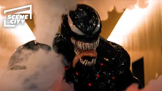 venom getting swatted venom 2018