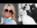 Jon Peters Leaving Pamela Anderson 10 Million E News