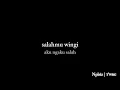 Download Lagu Raiso Ngapusi 2 ft Ervinsoft