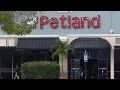 Orlando Petland to pay extra funds for deceiving customers