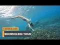 Download Lagu Karimunjawa Island Hopping and Snorkeling Tour | Indonesia