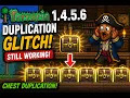 TERRARIA 1 4 5 6 DUPLICATION GLITCH STILL WORKS Unlimited Items FAST 2026