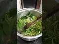 Download Lagu Tips supya daun dan bunga pepaya gak pahit, rebus pakai tanah liat, dijmin ilang paitnya 😍 #cooking