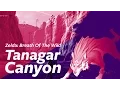 Zelda Breath Of The Wild - What s in Tanagar Canyon