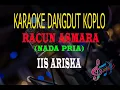 Download Lagu Karaoke Racun Asmara Nada Pria - Iis Ariska (Karaoke Dangdut Tanpa Vocal)