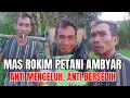 Download Lagu UPDATE TERBARU KONDISI KEBUN MAS ROKIM || MAS ROKIM MULAI TANAM TERONG DAN LOMBOK