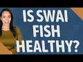Is SWAI fish healthy