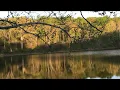 Ecosystems of Kansas Episode 3 The Deciduous Forest Biome English version