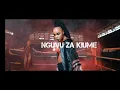 Download Lagu Rosa Ree - Nguvu za Kiume (Official Video)