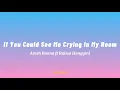Download Lagu If You Could See Me Crying In My Room  (Arash Buana ft Raisa Hanggini) | Lyrics | i'll be here