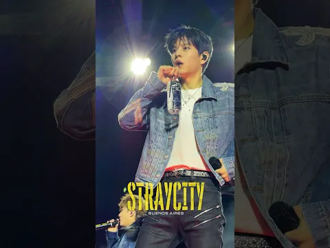 STRAY CITY in Buenos Aires Recap