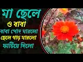 Lagu What a Lovely Flower Plan | Ad My Yeard | Natural Blog Flower Plan | Ritu Daily Blog EP-2