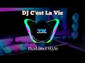 Download Lagu DJ C'est La Vie Thailand Style By YN Remixer