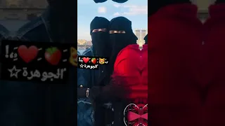 حالات واتس اب دينية بنات منقبات اناشيد اسلامية حب اناشيد دينية ستوريات انستا منقبات يارفيقا الدرب 
