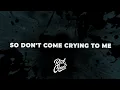 Alex Warren - CRY WOLF (Lyrics)