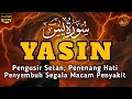 Surah Yasin Pengusir Setan dan Penyembuh Segala Macam Penyakit, Ngaji Merdu | By : Alaa Aqel