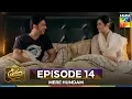 Download Lagu Mere Humdam Episode 14